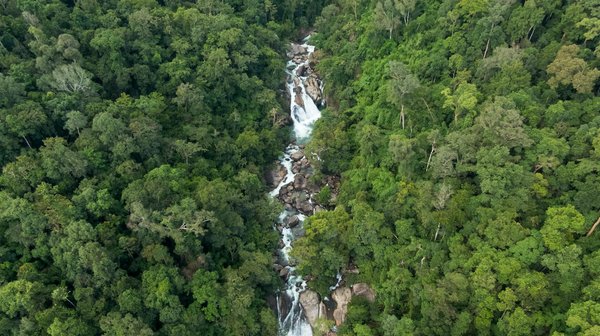 Ces métiers qui protègent et préservent la nature