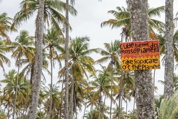 Comment apprendre un instrument de musique en ligne ?